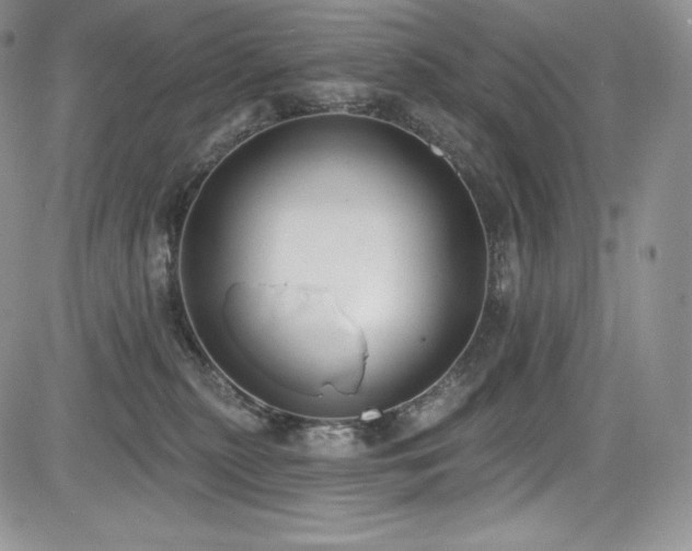 X0000085080279200703051441