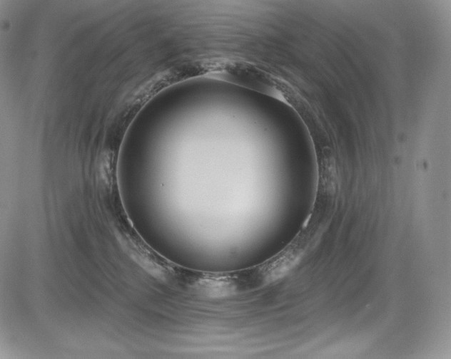 X0000085080280200703051441