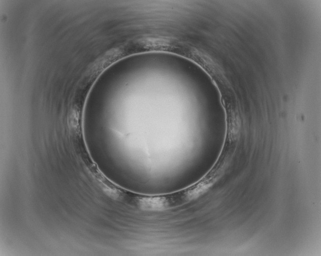 X0000085080281200703051441