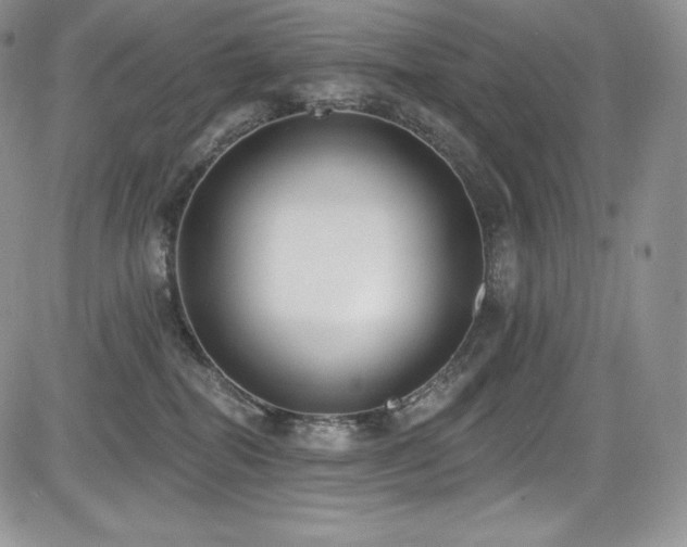 X0000085080282200703051441