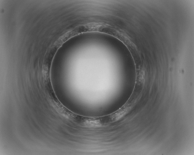 X0000085080283200703051441