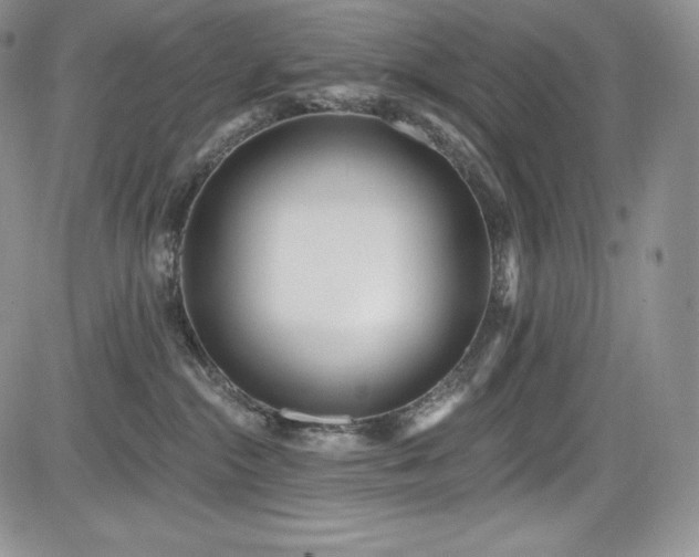 X0000085080284200703051441