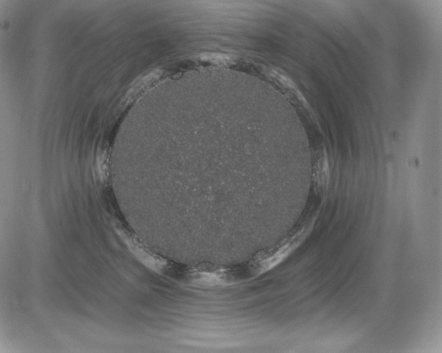 X0000085080285200703051441