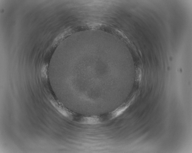 X0000085080286200703051441