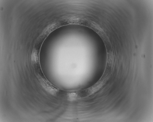 X0000085080287200703051441