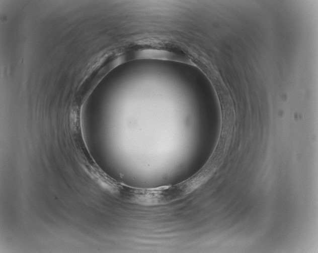 X0000085080288200703051441