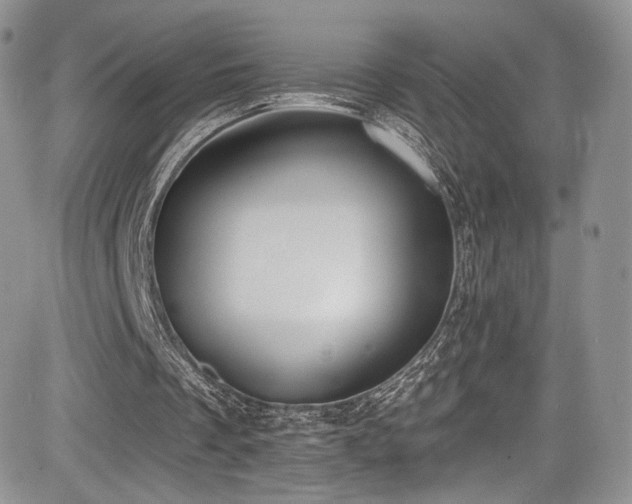 X0000085080289200703051441