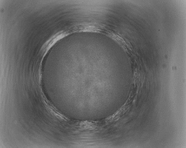 X0000085080290200703051441