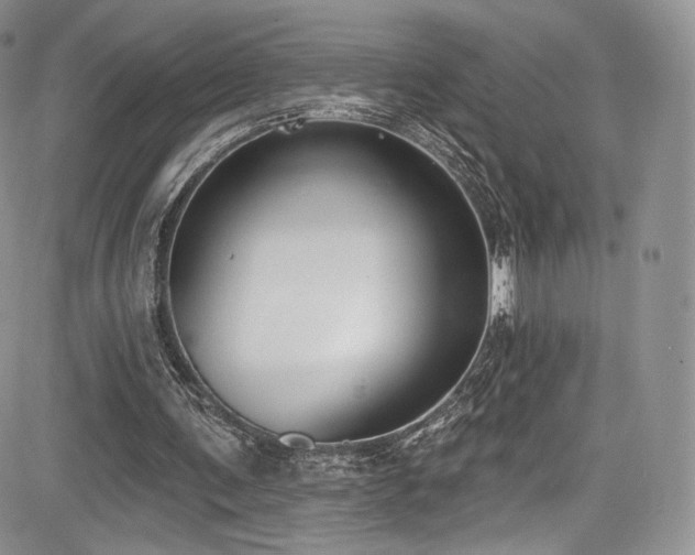 X0000085080291200703051441