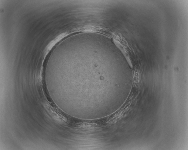 X0000085080292200703051440