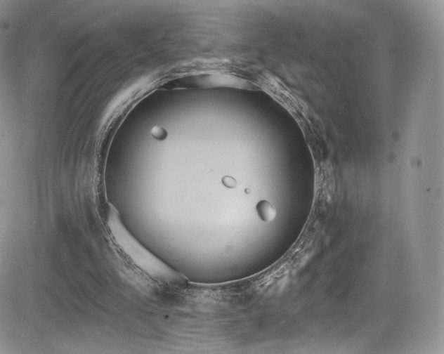 X0000085080293200703051440