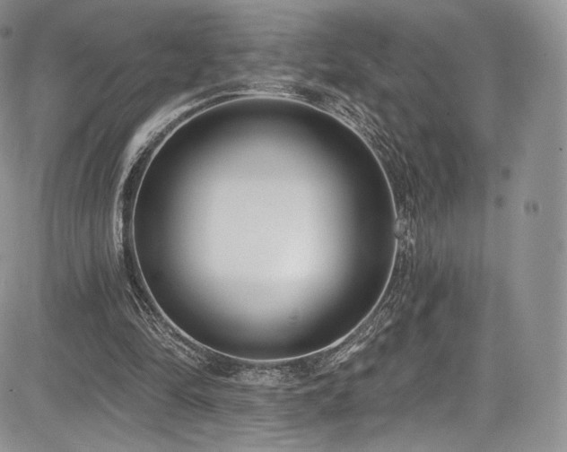 X0000085080294200703051440