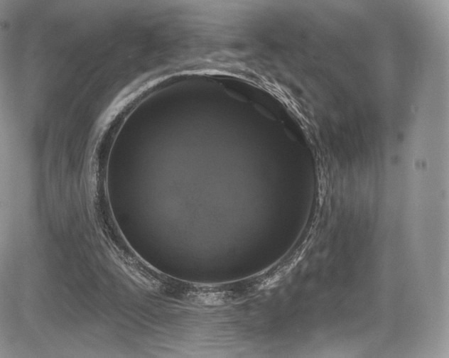 X0000085080295200703051440