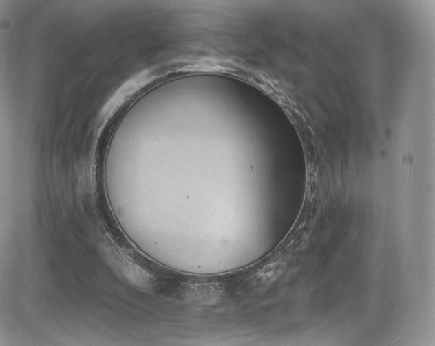 X0000085080296200703051440