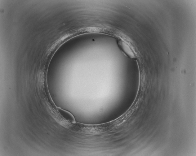 X0000085080297200703051440