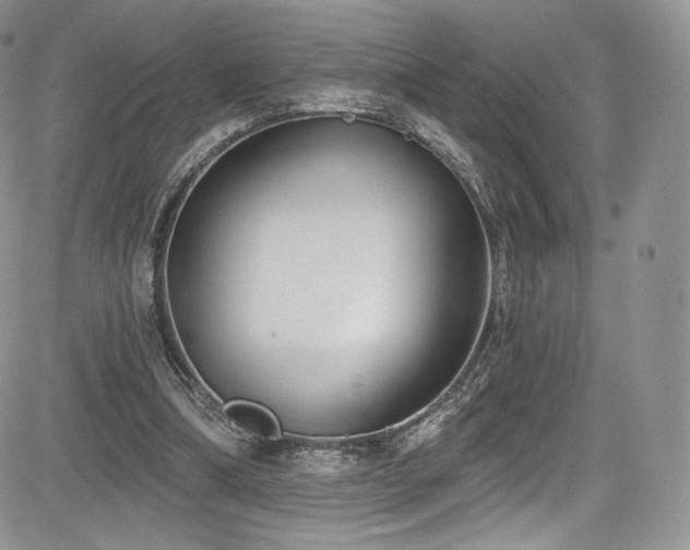 X0000085080298200703051440