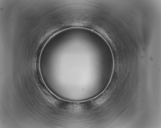 X0000085080299200703051440