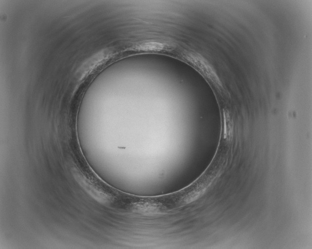 X0000085080300200703051440