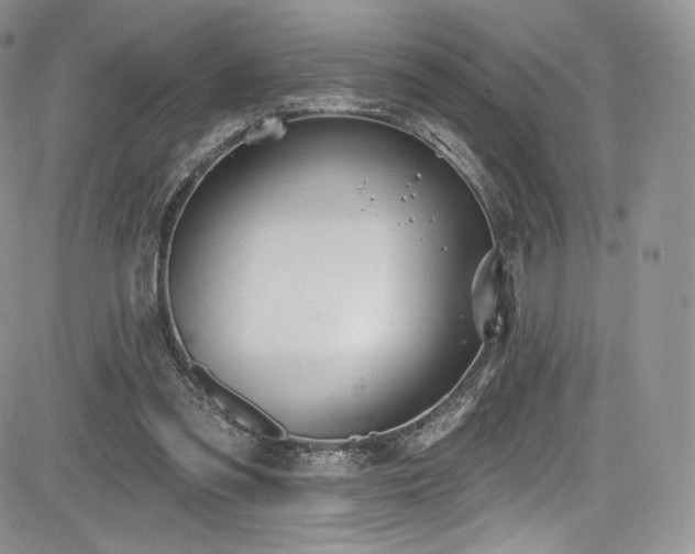 X0000085080301200703051440