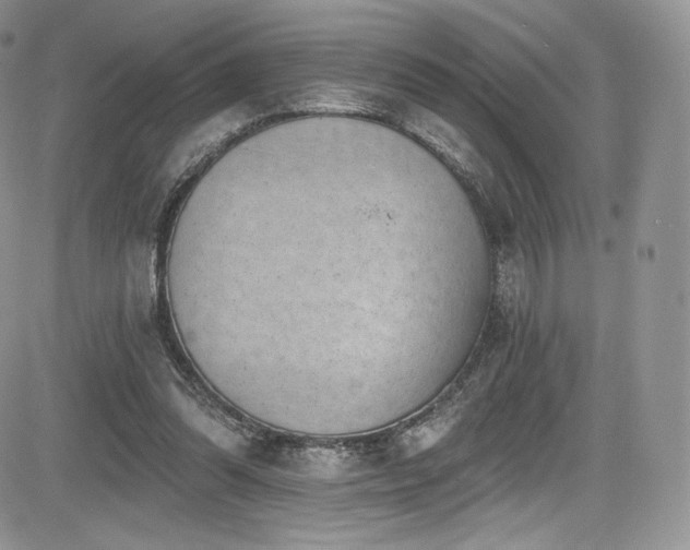 X0000085080302200703051440