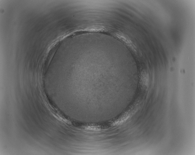 X0000085080303200703051440