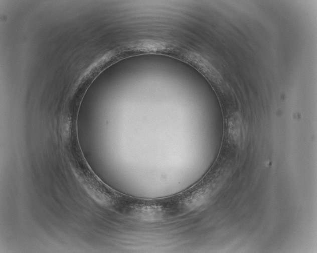 X0000085080304200703051440