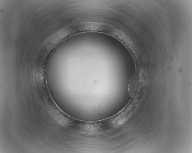 X0000085080305200703051440