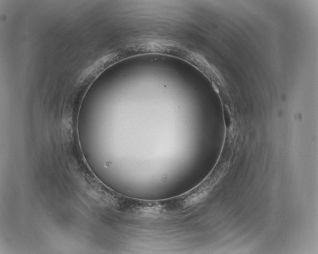 X0000085080306200703051440