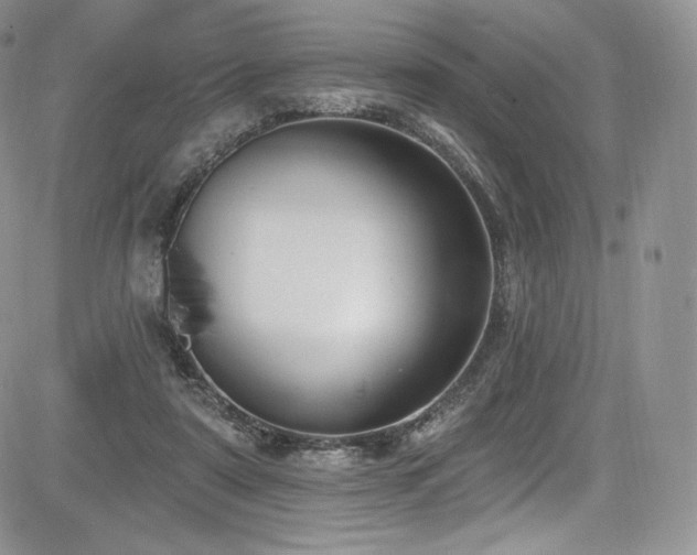 X0000085080307200703051440