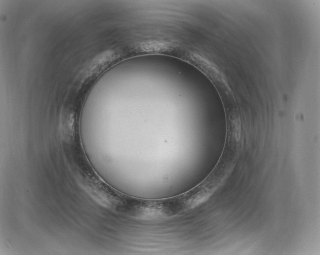 X0000085080308200703051440