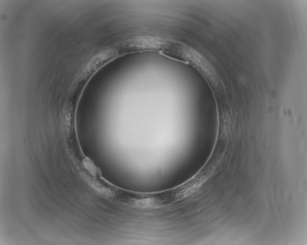 X0000085080309200703051440