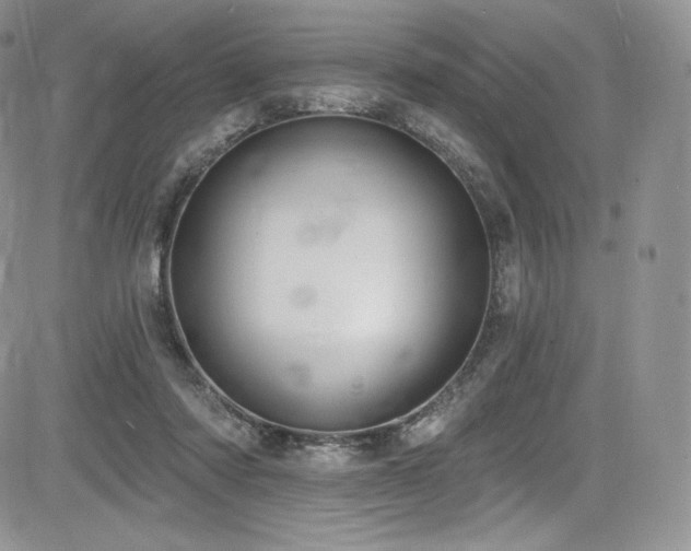 X0000085080310200703051440