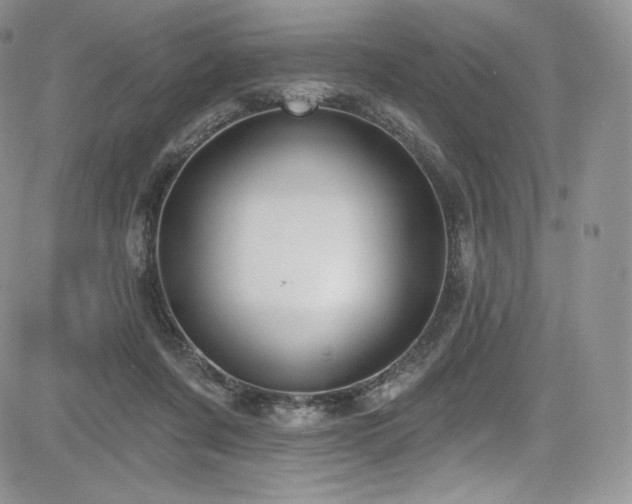 X0000085080311200703051440