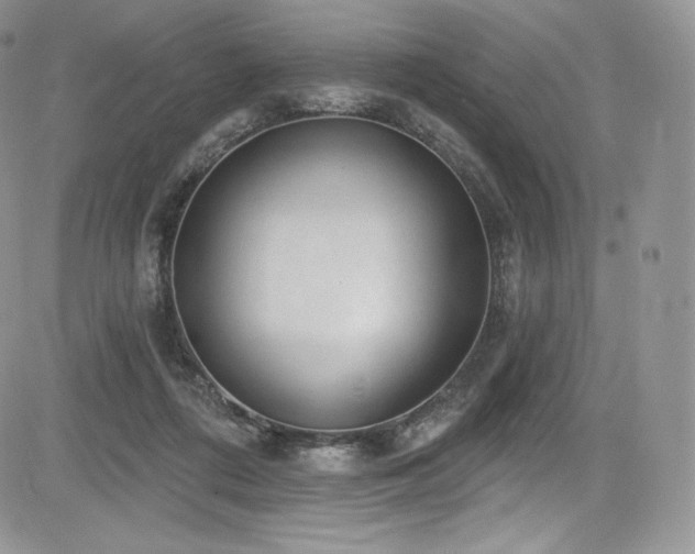 X0000085080312200703051440