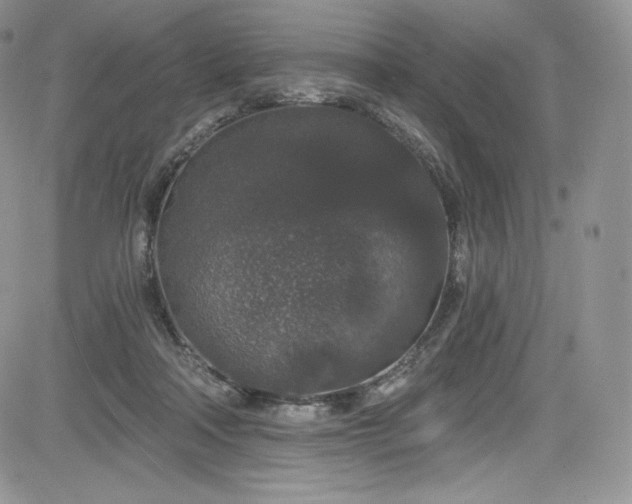 X0000085080314200703051440