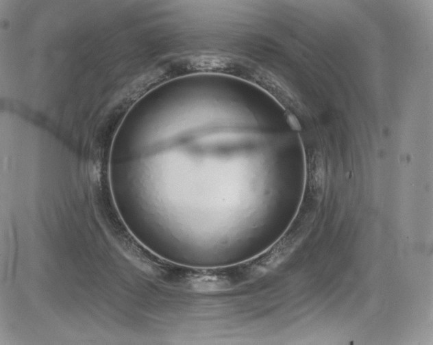 X0000085080315200703051440