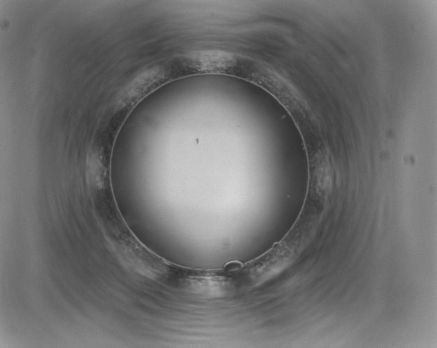 X0000085080316200703051440