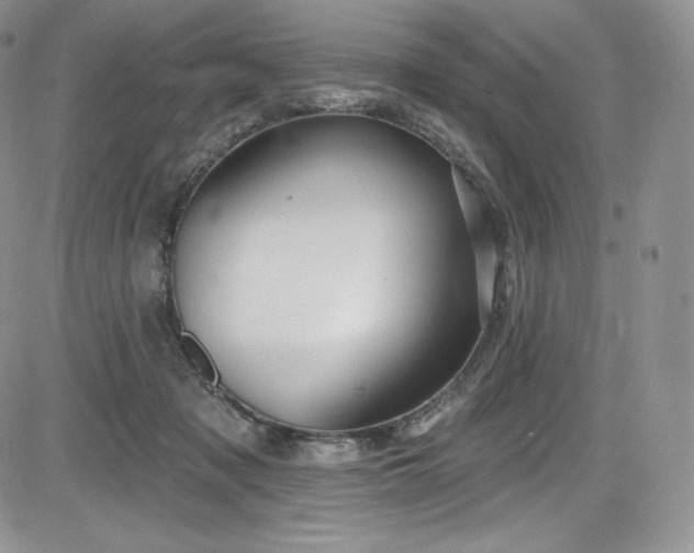 X0000085080317200703051440