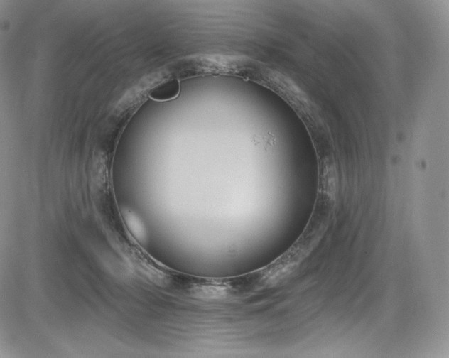 X0000085080318200703051440