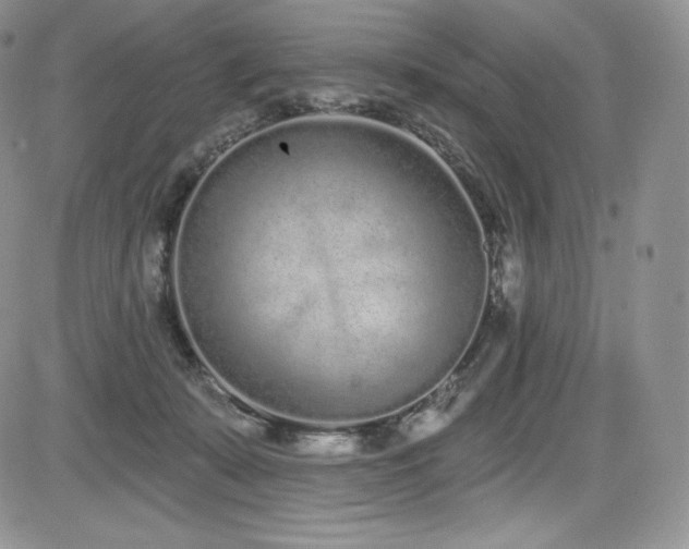 X0000085080319200703051440