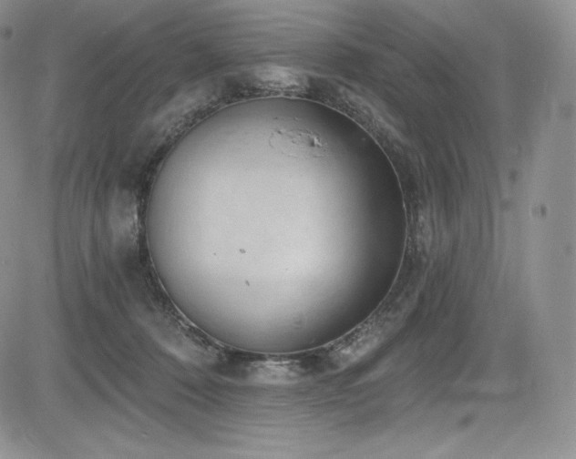 X0000085080320200703051440