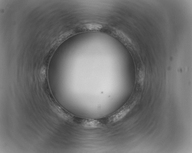 X0000085080321200703051440