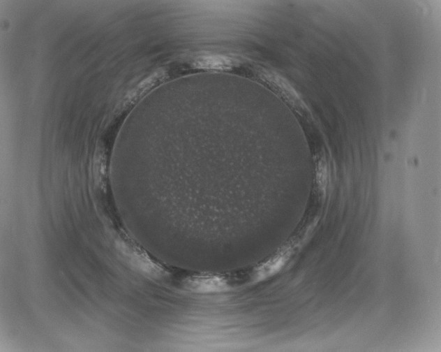 X0000085080322200703051440