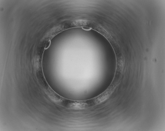 X0000085080323200703051440