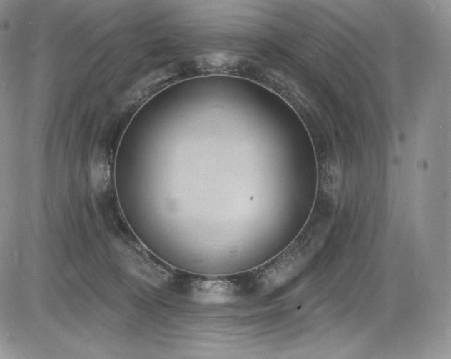 X0000085080324200703051440