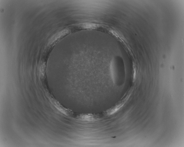 X0000085080325200703051440