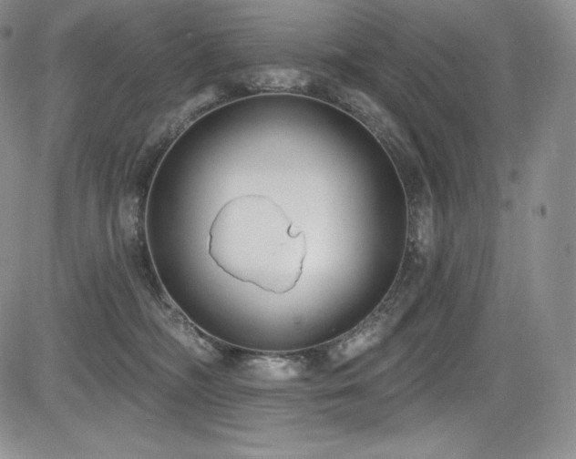 X0000085080326200703051440