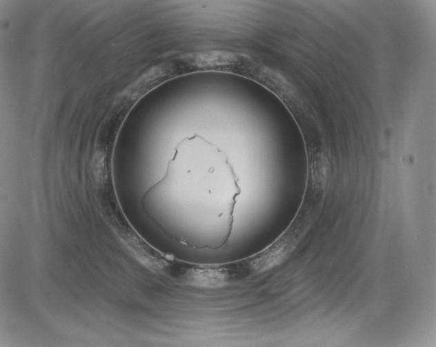 X0000085080327200703051440