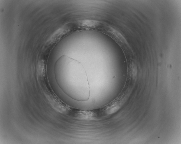 X0000085080328200703051440