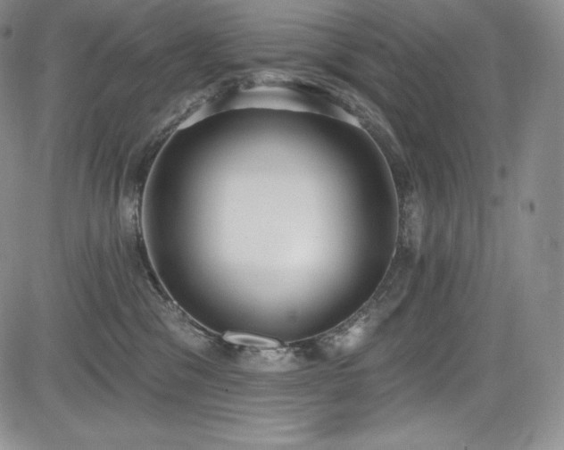 X0000085080329200703051440